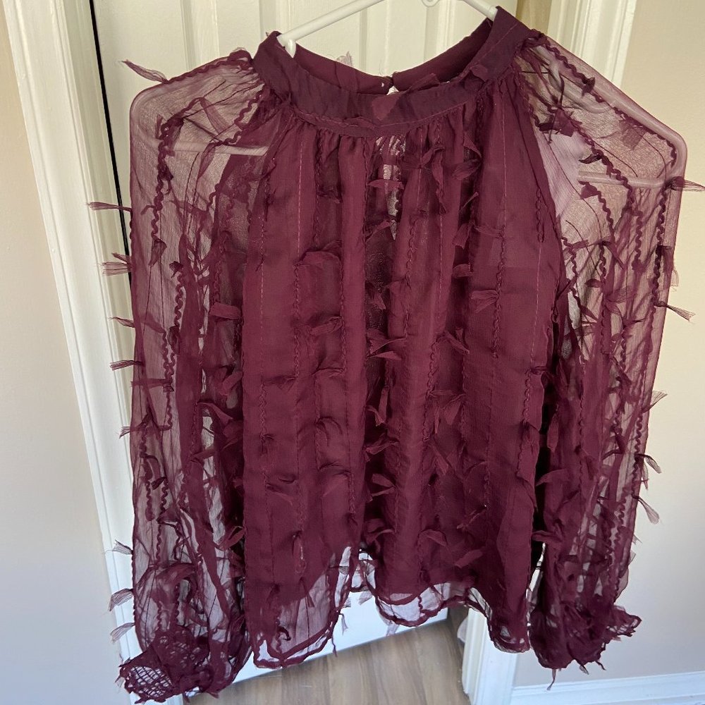 Zara Fun Maroon Blouse (NWT)